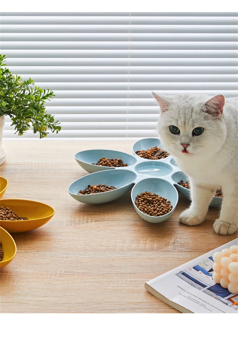 Petal Multi-Cell Cat & Dog Food Bowl | Non-Toxic PP