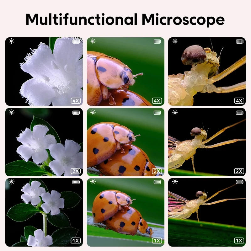 Kids Microscope Handheld Magnifying Digital 1000X Magnifier 200 Megapixels with Led for Children Educational Science Toys Peaceful Pleasures Health and Wellness