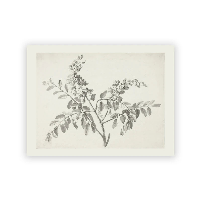 Farmhouse Botanical Canvas Wall Art – Vintage Rustic Tree Print Canvas Wall Art Peaceful Pleasures Health and Wellness T80284-04 40x60cm Unframed