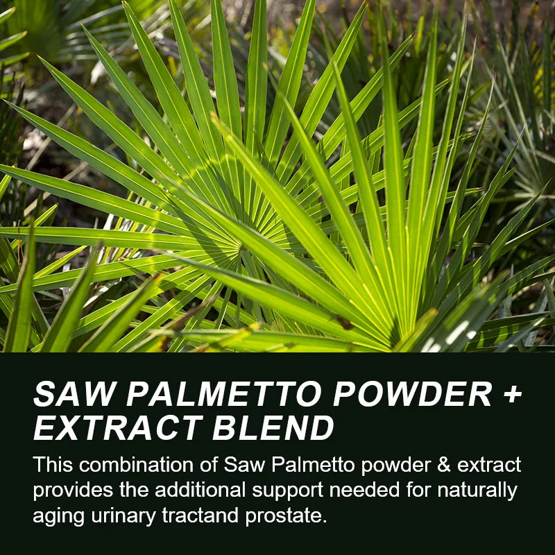 Saw Palmetto Supplement for Prostate Health & DHT Hair Loss Prevention Dietary Supplement Peaceful Pleasures Health and Wellness