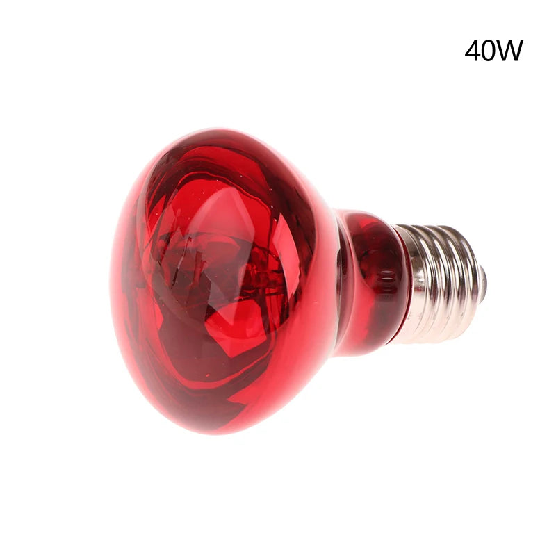 Reptile UVA Heating Bulb E27 | 25W–100W Basking & Night Heat