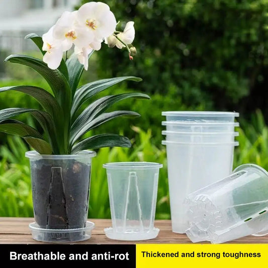 Clear Orchid Planter Pot – PP Plastic, Air Holes & Drainage Orchid Planter Pot Oasis Select