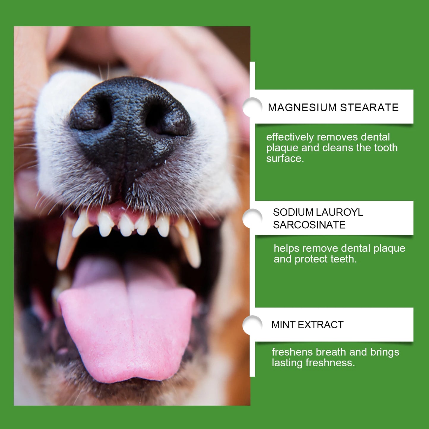 Dog Teeth Cleaning Powder 150g | Tartar & Bad Breath Relief