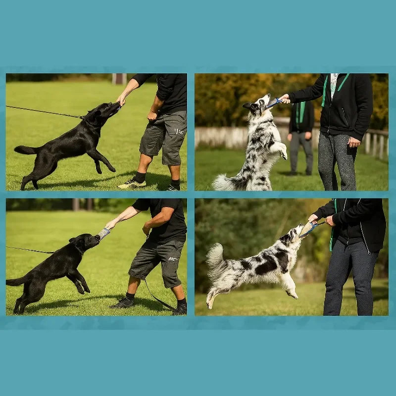 Dog Bite Jute Tug Toy with 2 Handles | Training & Play