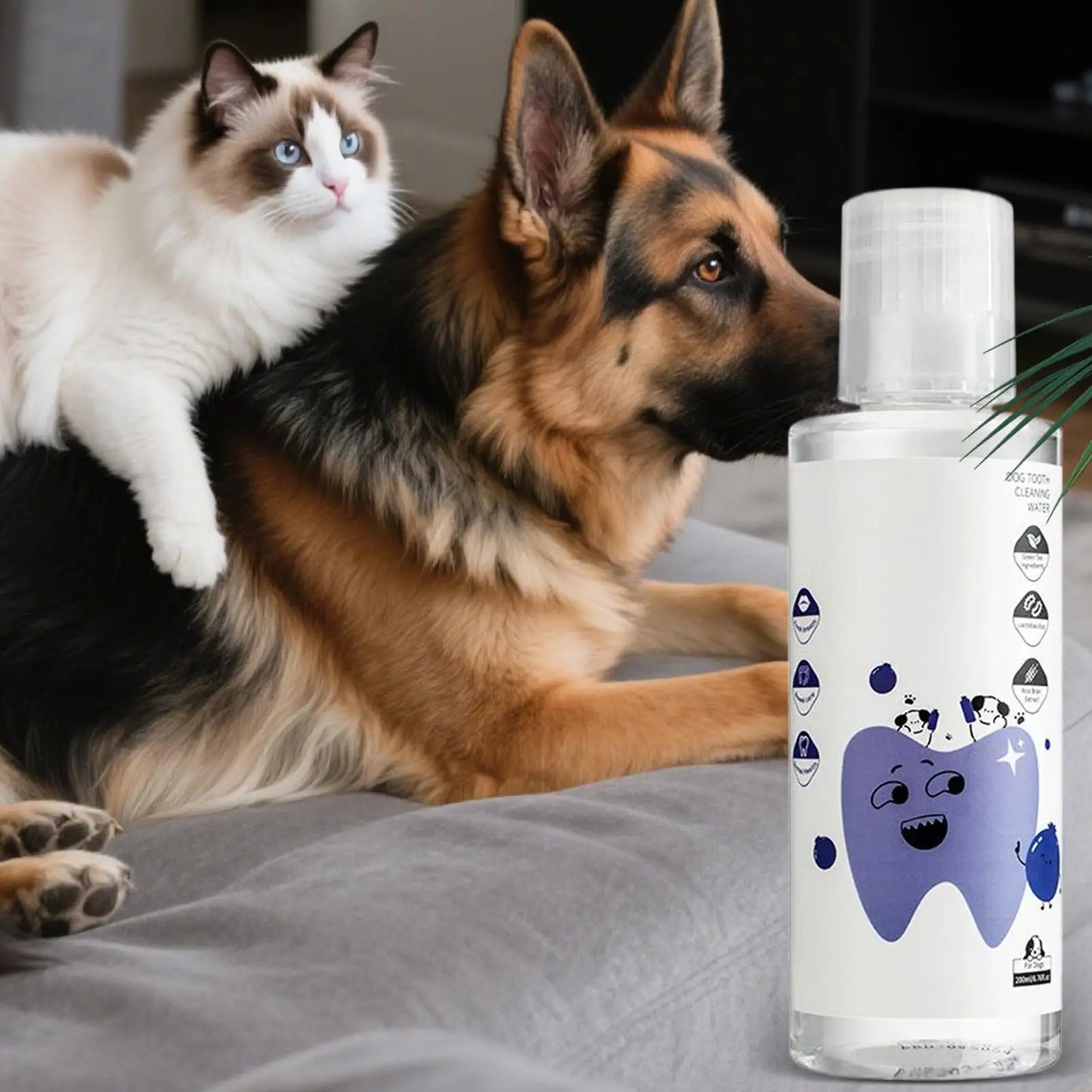 Dog & Cat Dental Water Additive 200ml – Fresh Breath & Plaque Care