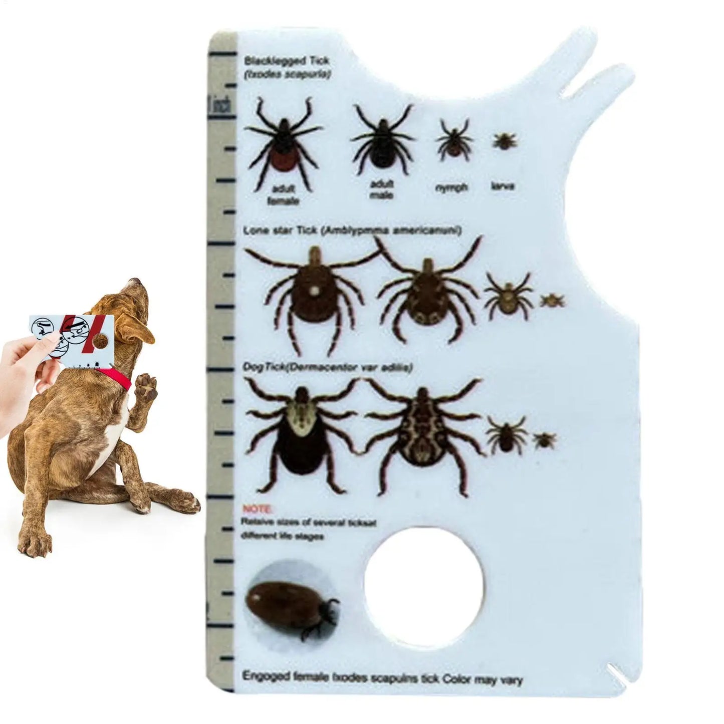 Tick Card For Children Allows Low Risk Removal Of Ticks Portable Tick Card With Magnifier For Gently Remove Ticks From People Peaceful Pleasures Health and Wellness