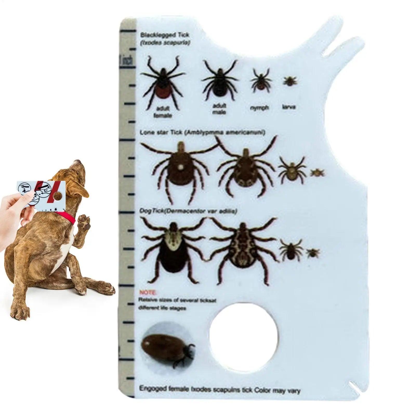 Tick Card For Children Allows Low Risk Removal Of Ticks Portable Tick Card With Magnifier For Gently Remove Ticks From People Peaceful Pleasures Health and Wellness