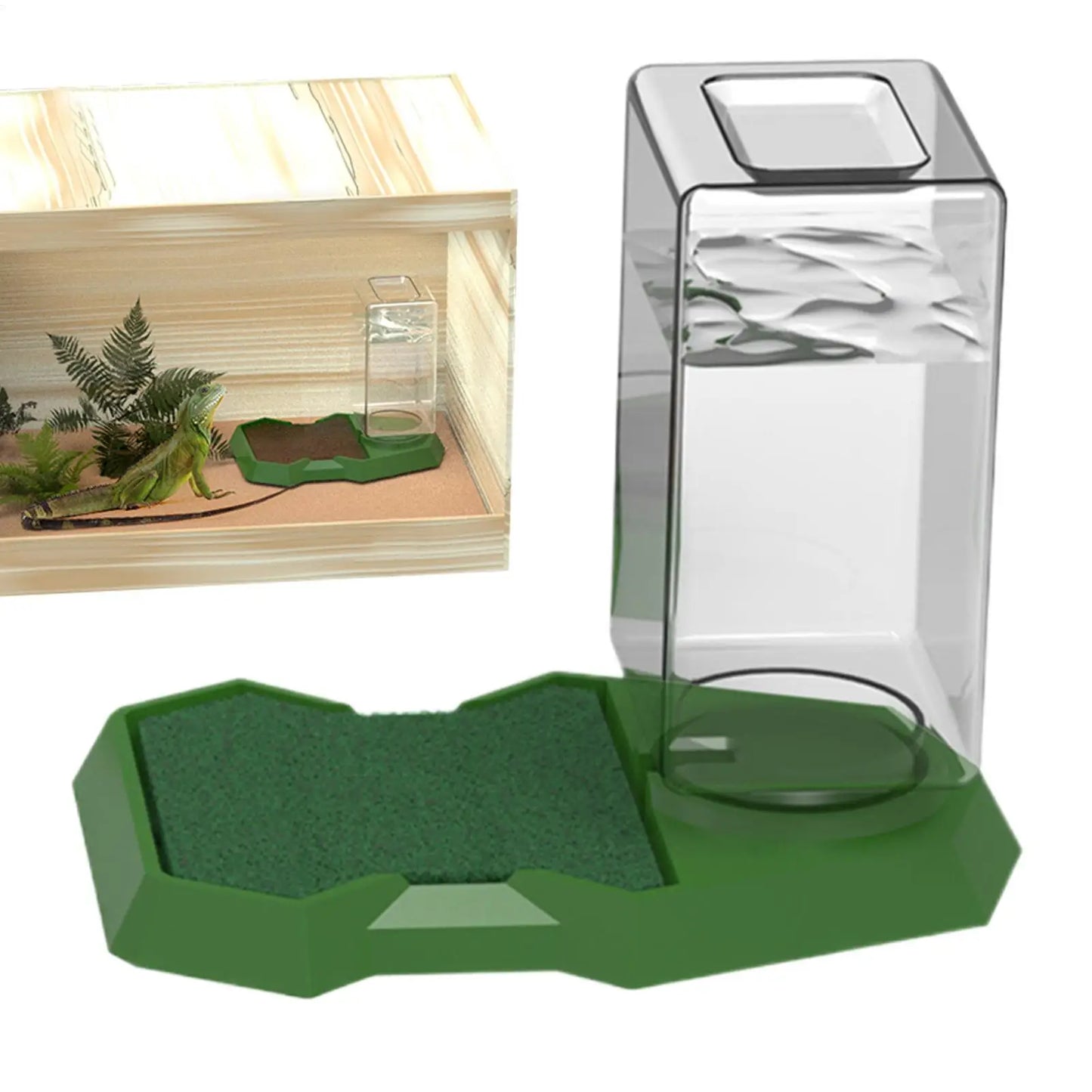 Reptile Water Dispenser & Anti-Slip Dish Bowl | Large Capacity