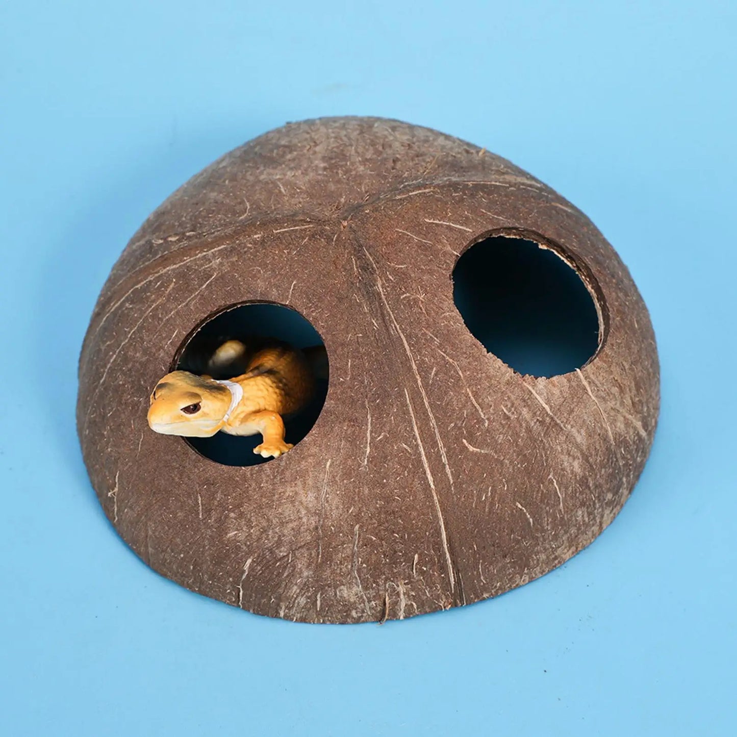 Natural Coconut Shell Reptile Hiding Cave | Terrarium Decor