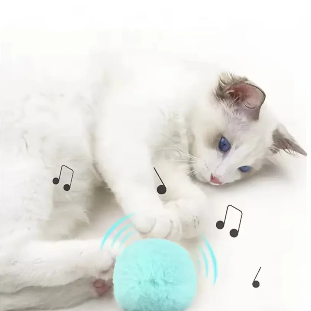 Interactive Electric Catnip Ball Cat Toy – Plush Squeaky Kitten