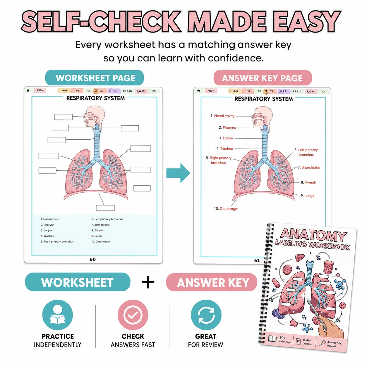 Anatomy Labeling Workbook A5 Spiral-bound Study Guide 90+ Pages 14