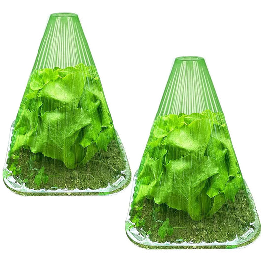 5Pcs Growth Box Planting Tent Reusable Square Use Plant Clock Cover To Protect Plants From Bird Frost and Snail Damage Green Peaceful Pleasures Health and Wellness 5Pcs Green