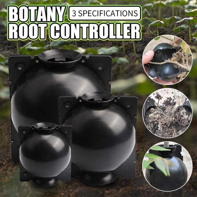 6-Pack Plant Grafting Rooting Boxes – Reusable Propagation Balls