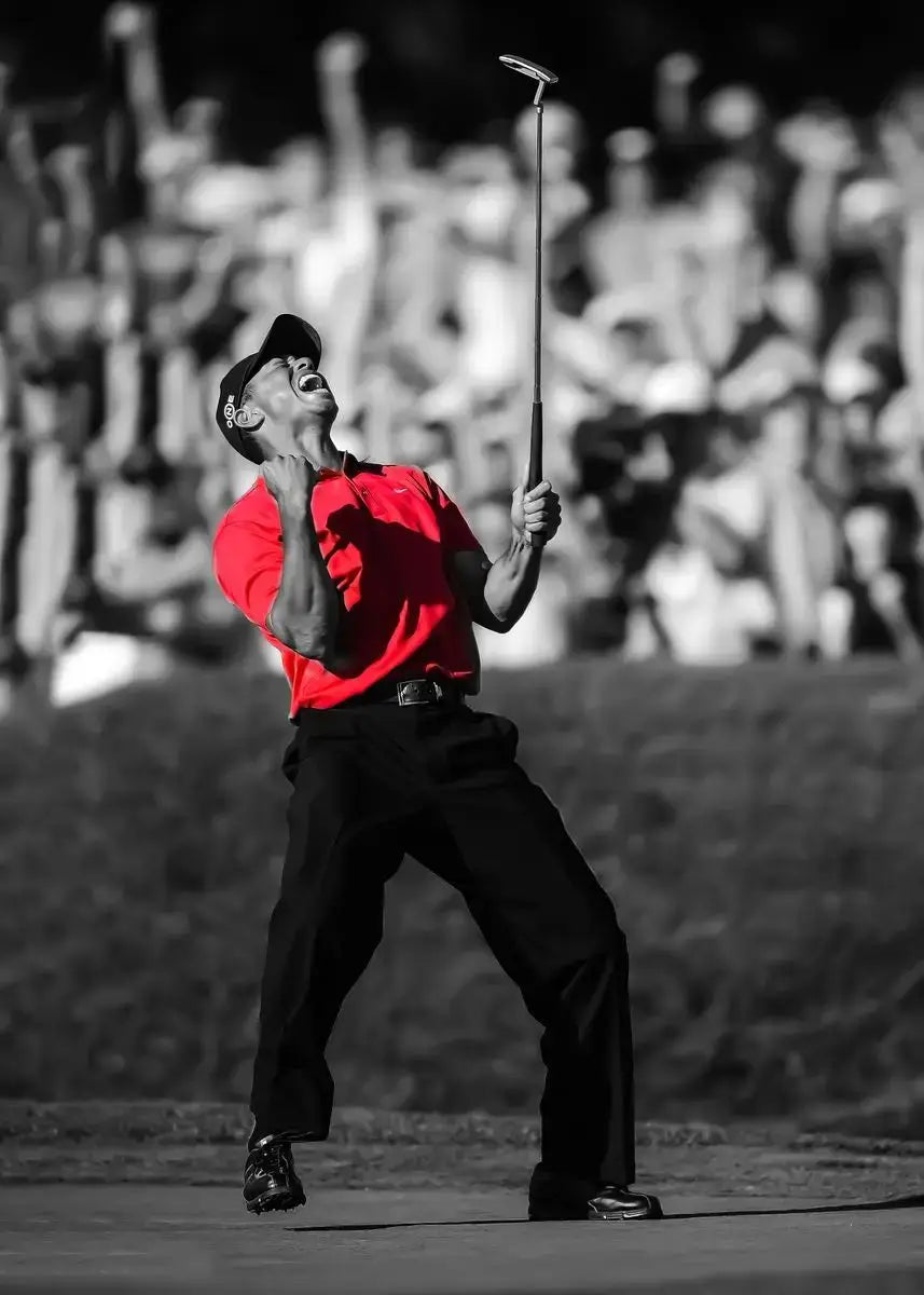 Tiger Woods Golf Portrait Canvas Wall Art | Fan Gift Poster