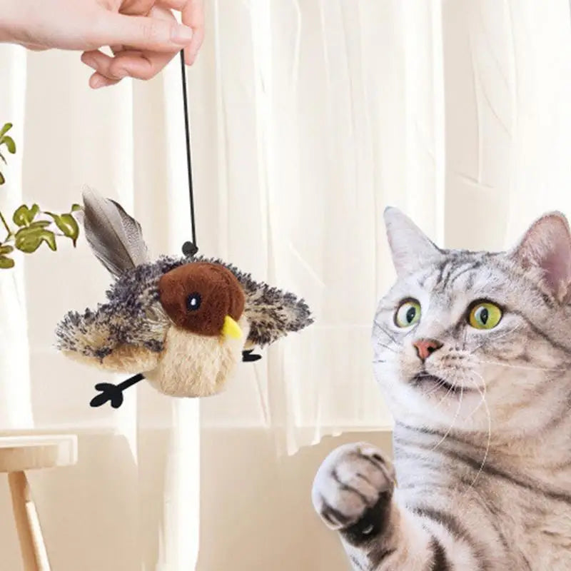 Chirping Bird Cat Toy – Touch Activated Sound & Feather Interactive Cat Toy Peaceful Pleasures Health and Wellness