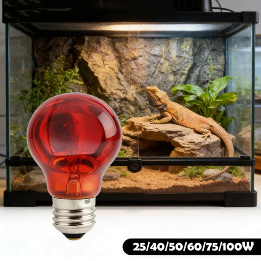 Reptile UVA Heating Bulb E27 | 25W–100W Basking & Night Heat Reptile Heating Bulb Peaceful Pleasures Health and Wellness