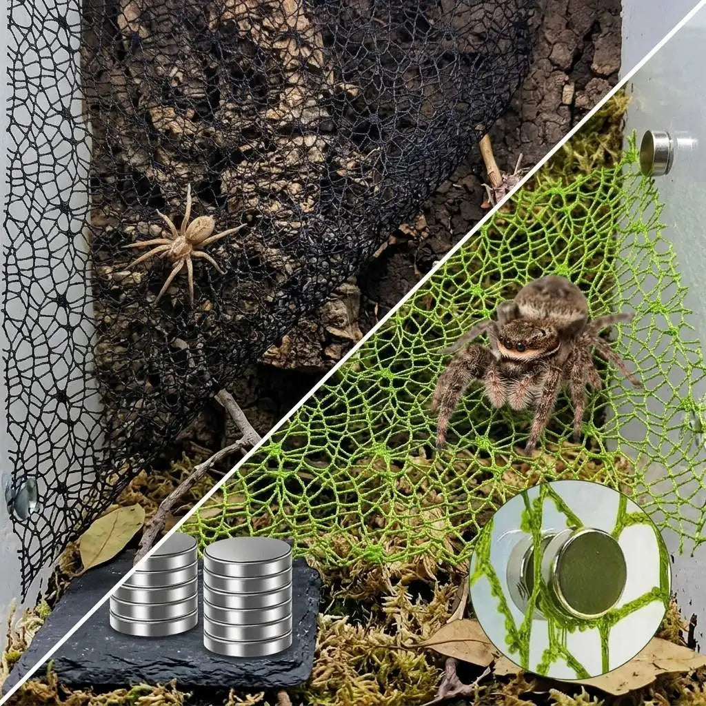 Climbing Net for Jumping Spiders 20x12 Inch Eco-friendly Habitat Accessory Compatible with Mantis Tarantula Peaceful Pleasures Health and Wellness