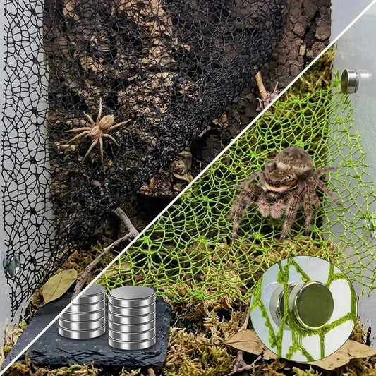 Climbing Net for Jumping Spiders 20x12 Inch Eco-friendly Habitat Accessory Compatible with Mantis Tarantula Peaceful Pleasures Health and Wellness