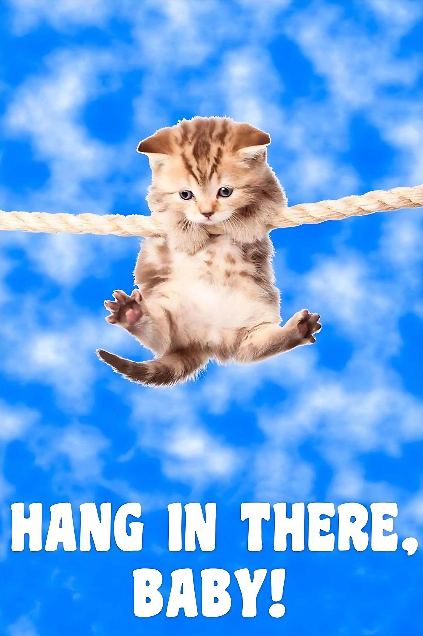 Cute Cat Yoga Canvas Wall Art | Hang In There Pet Poster