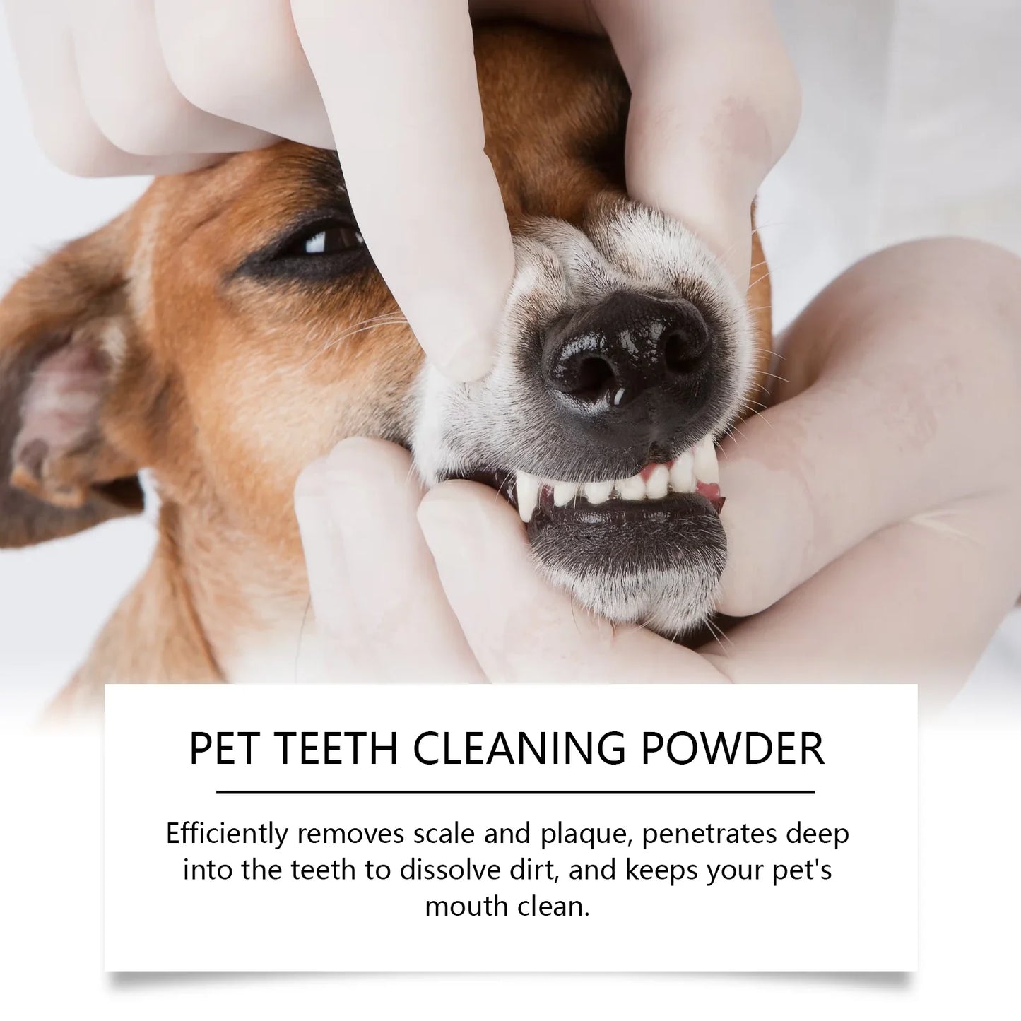 YEGBONG Pet Teeth Cleaning Powder – Plaque & Fresh Breath 100g