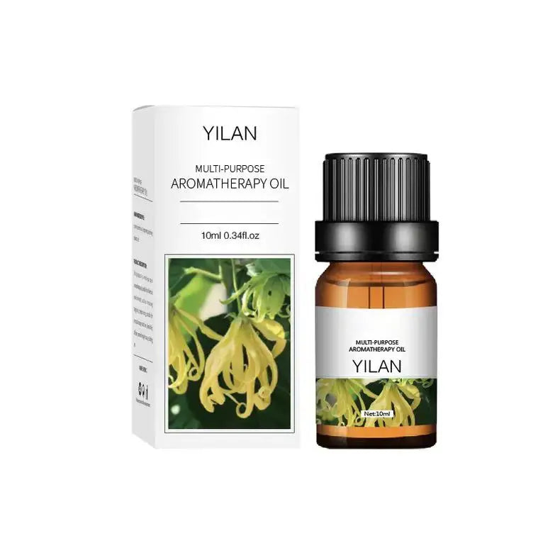 Water-Soluble Essential Oils 10ml | 29 Scents for Diffuser