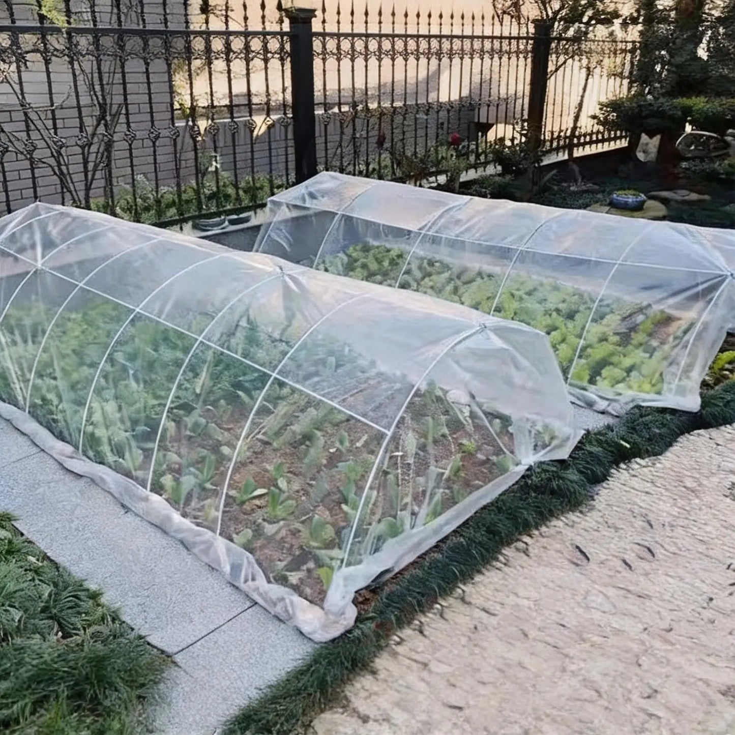 UV Resistant Tear-Proof Clear Greenhouse Film 2x10m Cover Greenhouse Film Cover Peaceful Pleasures Health and Wellness