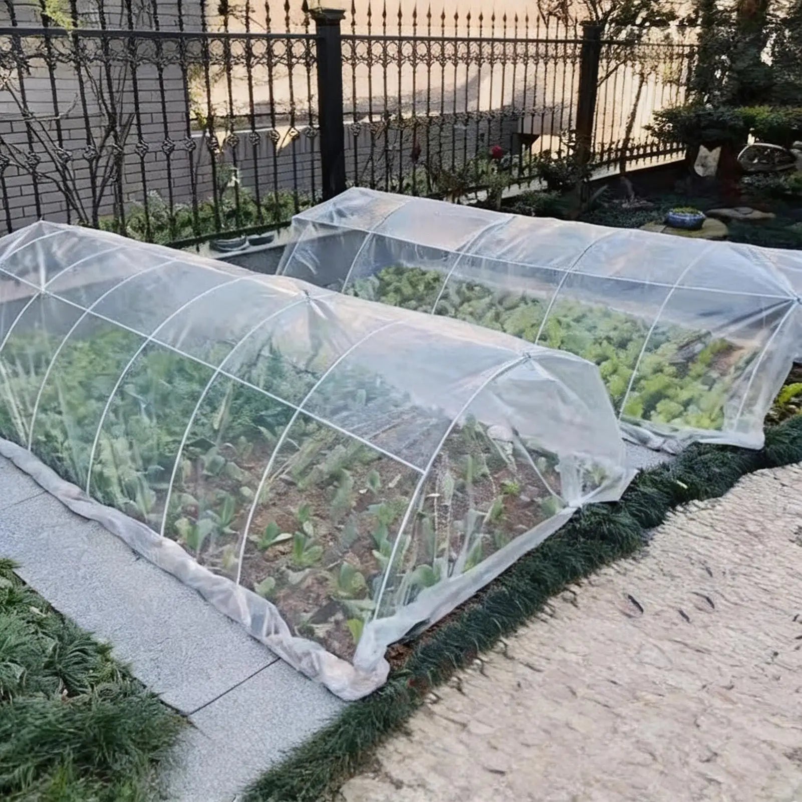 UV Resistant Tear-Proof Clear Greenhouse Film 2x10m Cover Greenhouse Film Cover Peaceful Pleasures Health and Wellness