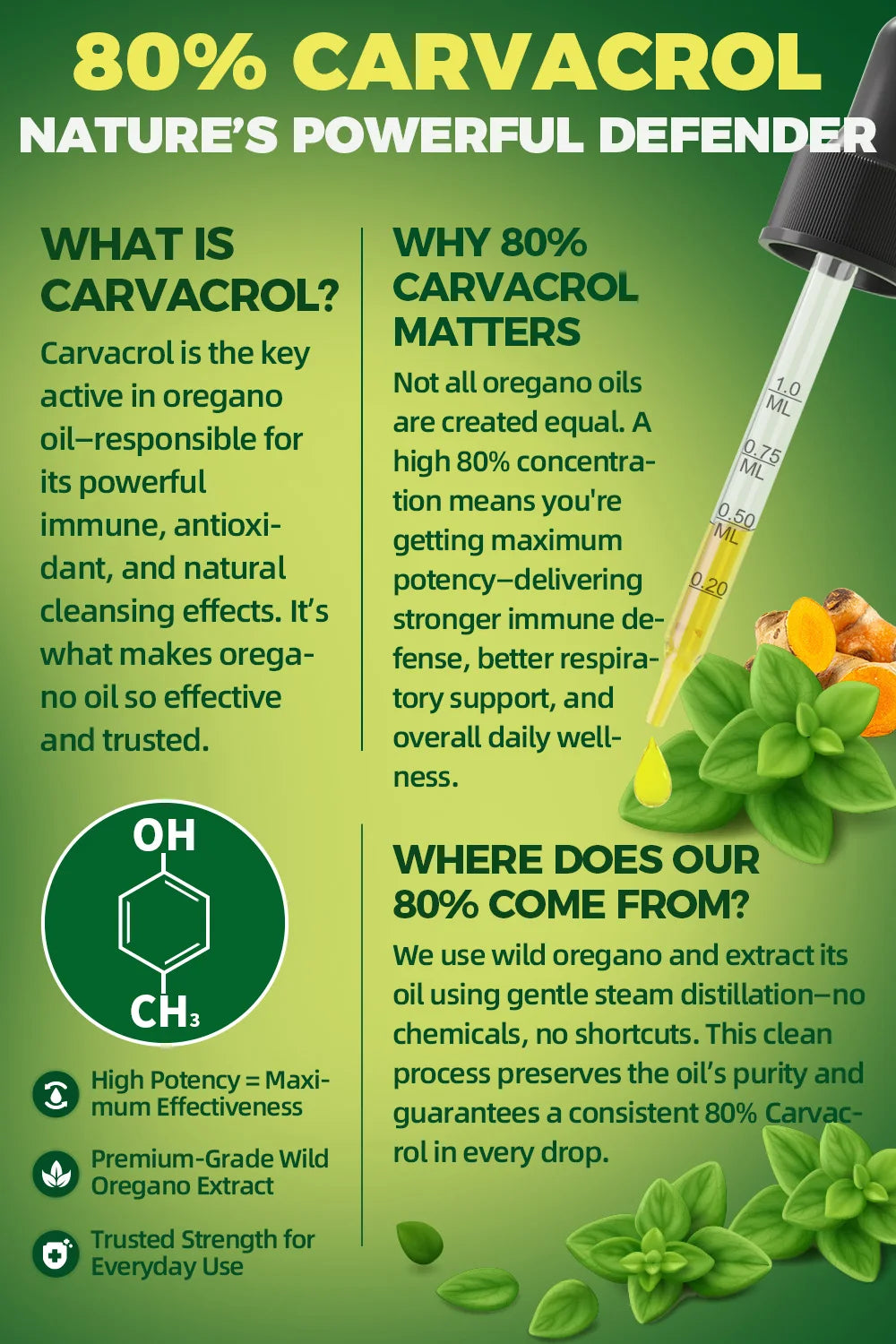 Oregano Oil Drops 4-in-1 with Turmeric & Vitamin E Peaceful Pleasures Health and Wellness
