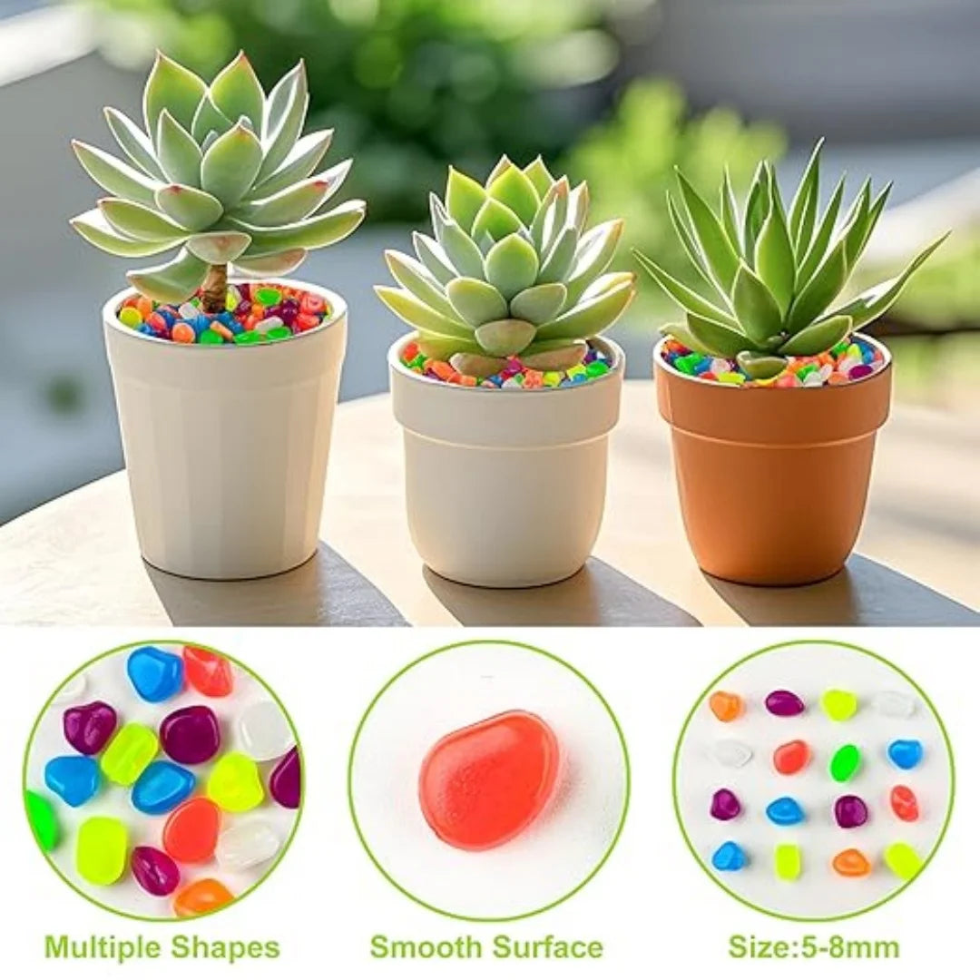 500Pcs Glow in the Dark Garden Pebbles | Luminous Stones