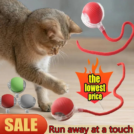 Electric Self-Moving Cat Ball Toy | Auto Rolling Interactive Play Interactive Cat Toy Oasis Select