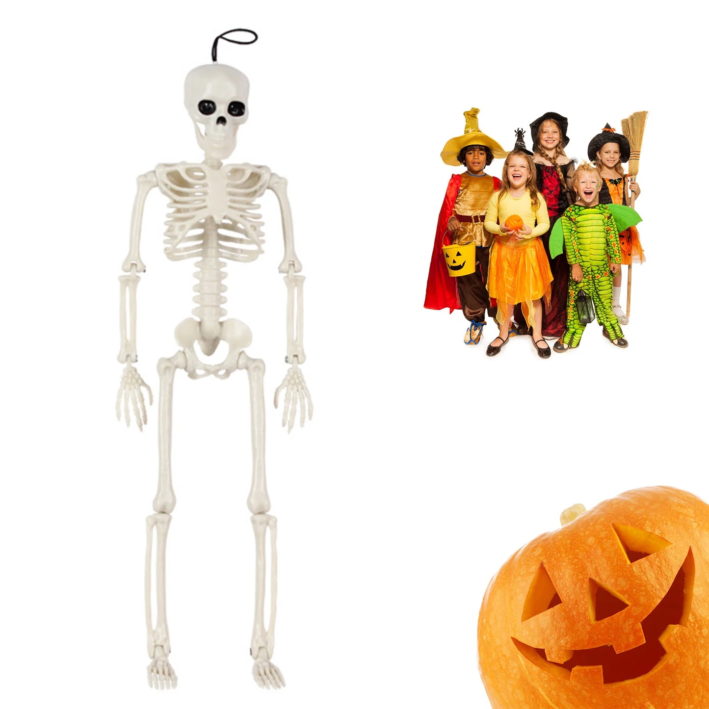 Halloween Life Size Skeleton Full Body 40cm Posable Halloween Skeleton Decor with Movable Joints for Haunted Houses Cemeteries Peaceful Pleasures Health and Wellness 40cm