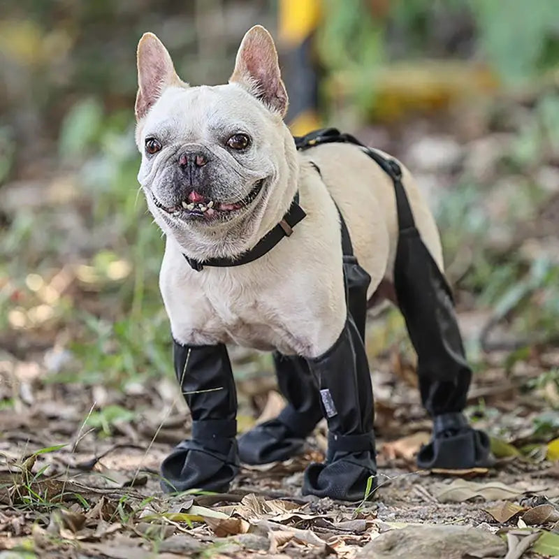 Waterproof Dog Boots | Anti-Slip Paw Protector Small & Medium Dogs