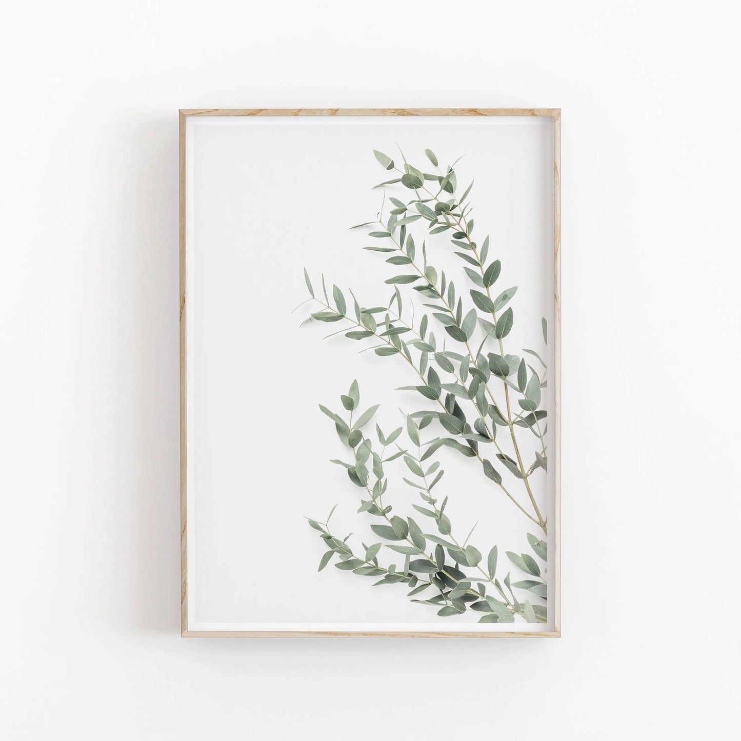 Nordic Botanical Canvas Wall Art – Eucalyptus & Palm Leaves
