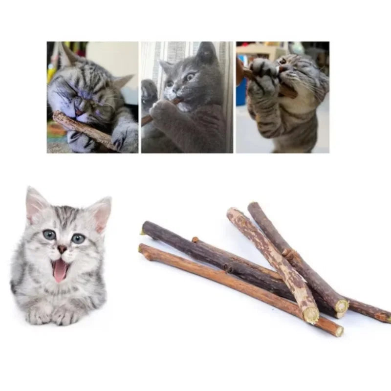 Silvervine Sticks for Cats Natural Catnip Chew Sticks Teeth Molar Chewing Toys for Cat Kitten Kitty Gifts Peaceful Pleasures Health and Wellness