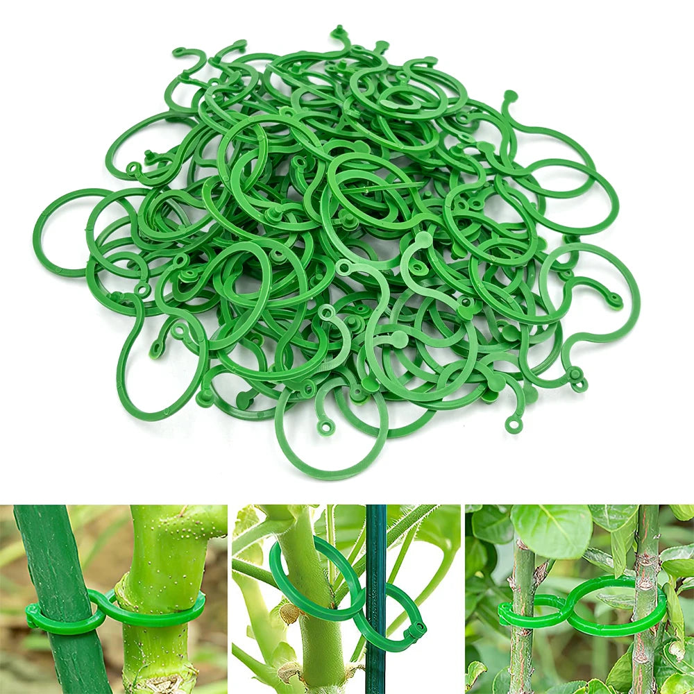 50Pcs 8 Word Buckle Vine Tying Clips Ring Fixing Bracket Garden Plant Holder Tools Garden Decorations Plant Climbing Wall Clips Peaceful Pleasures Health and Wellness