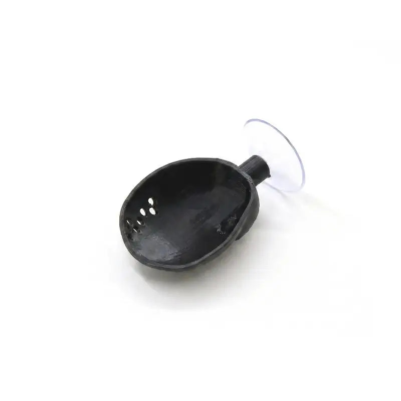 Shell Shaped Betta Feeding Dish with Suction Cup | Tank Decor