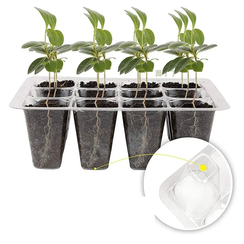 Seed Starter Tray Plant Starter Kit and Base Mini Greenhouse Germination Kit for Seeds Growing Starting Peaceful Pleasures Health and Wellness