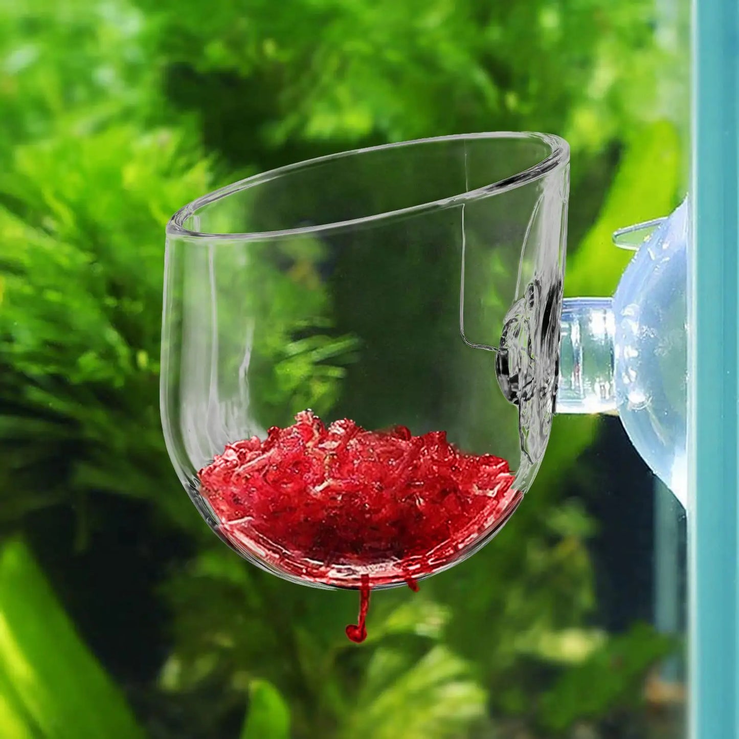 Aquarium Plant Cup Holder – Hanging Fish Tank Planting Cylinder