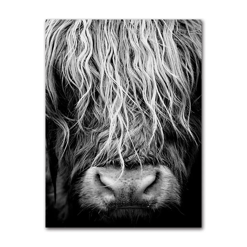 Scottish Highland Cattle Canvas Wall Art | Modern Animal Print