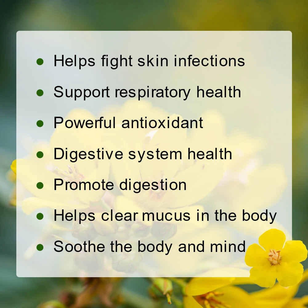 Mullein Leaf Herbal Tea – Lung Cleanse & Respiratory Support Peaceful Pleasures Health and Wellness
