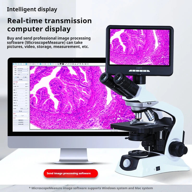 Research Grade Biological Microscope Plan/infinity Optical System Experimental University Specific Medical Photography Peaceful Pleasures Health and Wellness