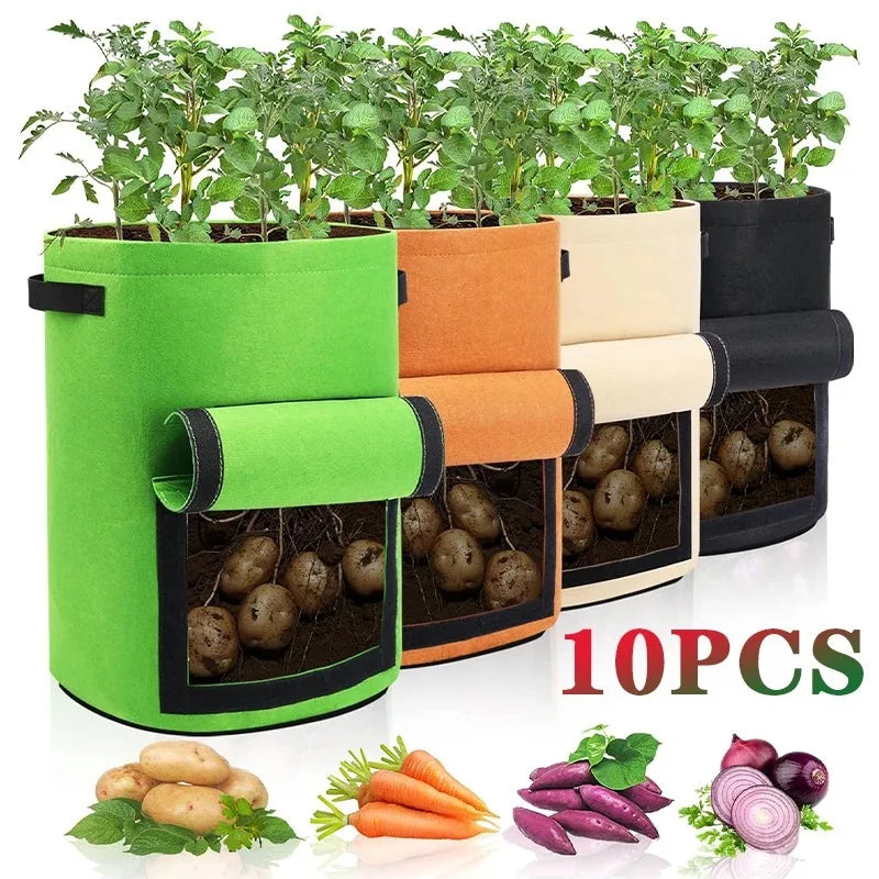 5 & 10 Gallon Fabric Plant Grow Bags | Potato & Vegetable Pots