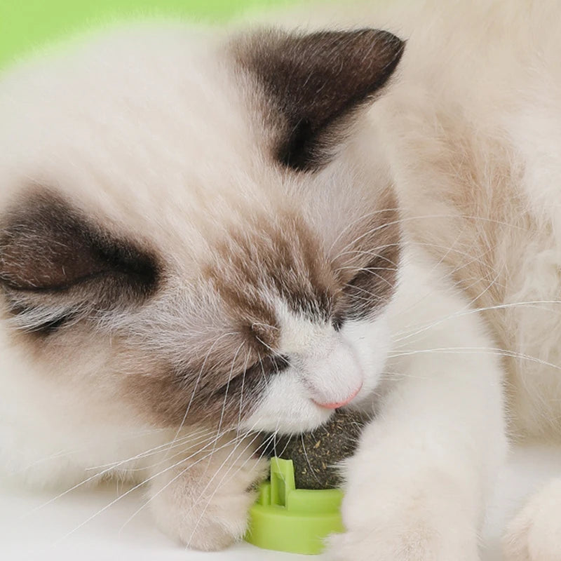 Rotating Catnip Ball Toy – Interactive Lick & Teething Toy for Cats