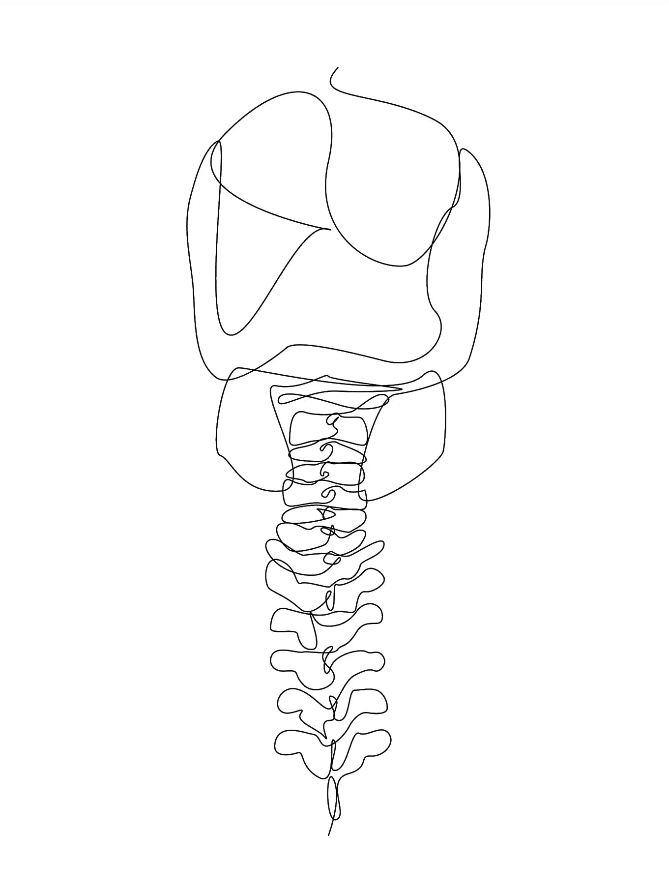 Human Anatomy Skeleton Canvas Wall Art | Medical Line Art Poster
