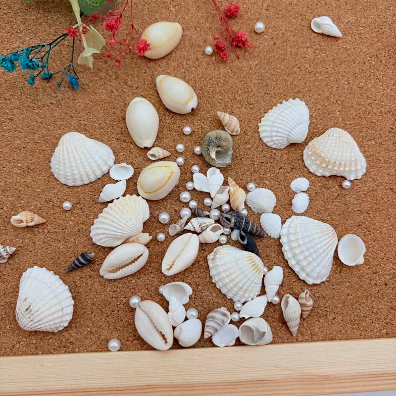 Resin Simulation Pearls & Shells Mix – DIY Craft & Home Décor