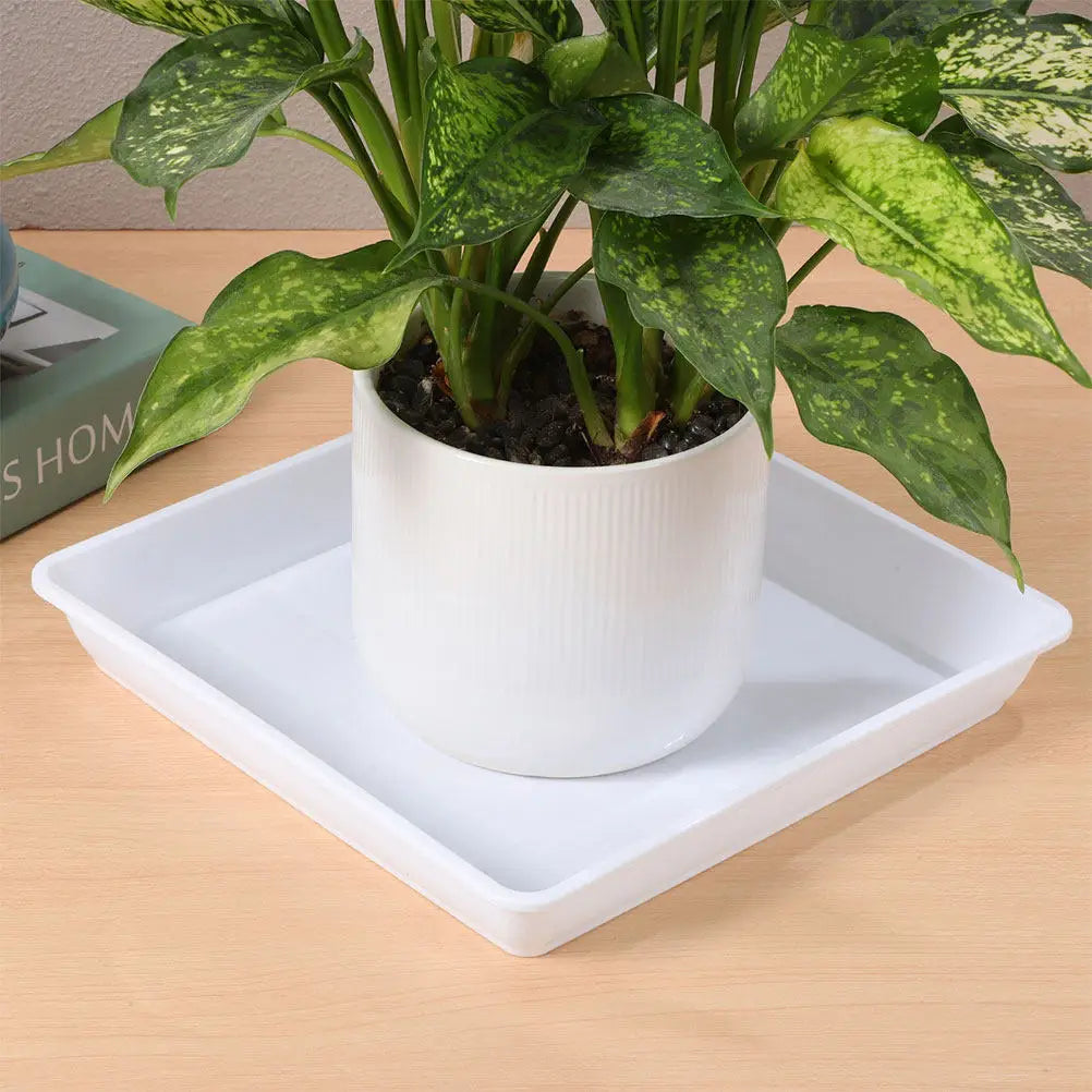 2Pcs 9.82 Inch Square Plastic Planter Saucer Thick Flower Pot Base Tray for Water Collection Drainage Outdoor Indoor Succulent Peaceful Pleasures Health and Wellness
