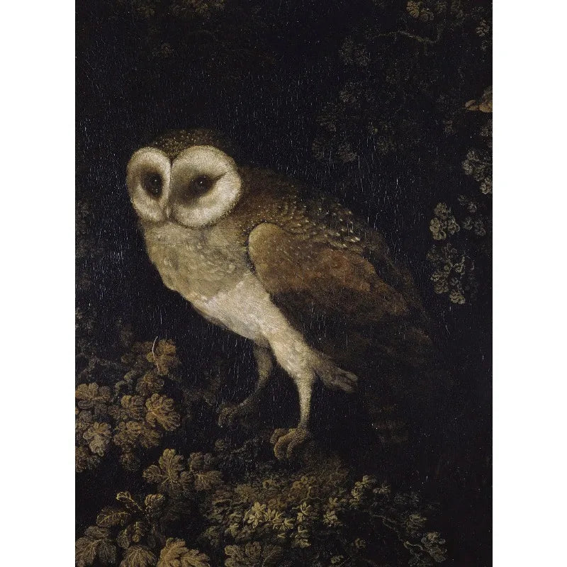 Dark Academia Antique Gothic Castle Wildflowers and Books Crow Owl Animal Poster Canvas Painting Wall Art Pictures Home Decor Peaceful Pleasures Health and Wellness 2 50x70cm Unframed