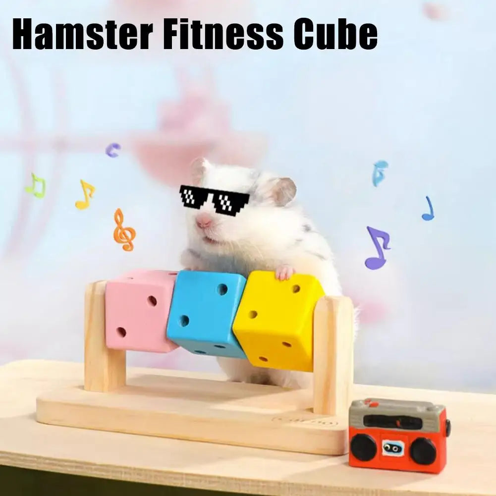 Hamster Fitness Cube – Colorful Wooden Activity Toy for Small Pets