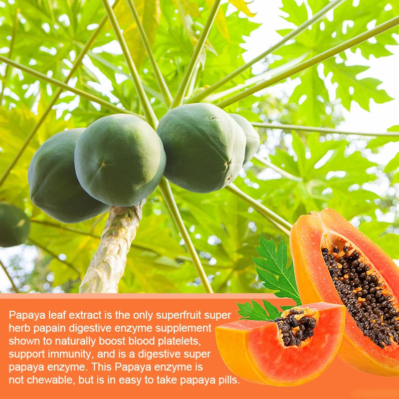 Yimiduk Organic Papaya Leaf Extract Capsules, Support Platelets, Liver Detox & Anti-Inflammatory Benefits, General Well-being Peaceful Pleasures Health and Wellness