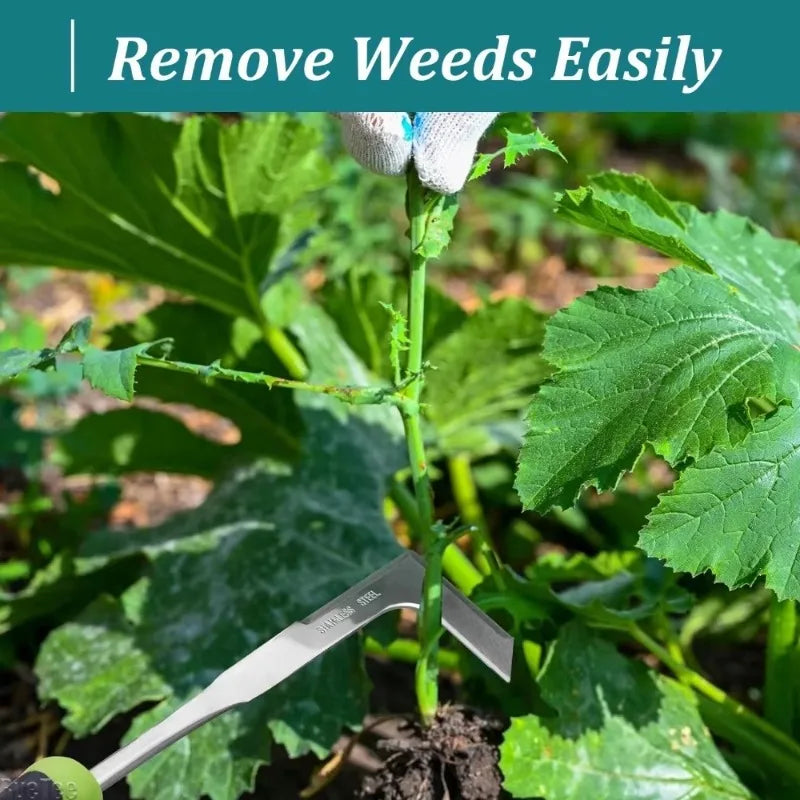 2-Piece Stainless Steel Hand Weeder Set | L-Shaped Crack Weeder